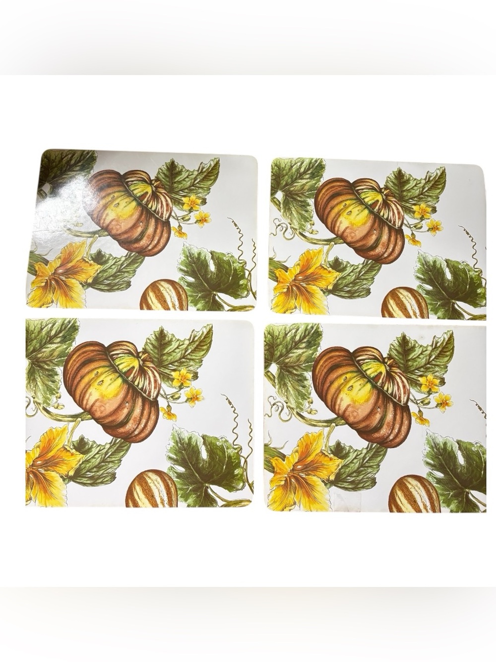 Williams Sonoma Vintage Botanical Pumpkin Cork-Back Placemats Set of 4 Fall
